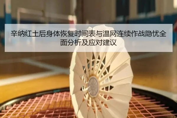 辛纳红土后身体恢复时间表与温网连续作战隐忧全面分析及应对建议